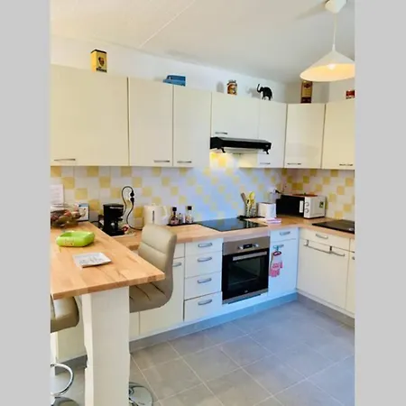 Le Petit Blanc - Vue Sur Le Square Des Lions *