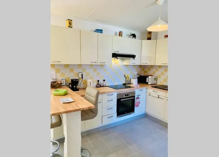 Le Petit Blanc - Vue Sur Le Square Des Lions *