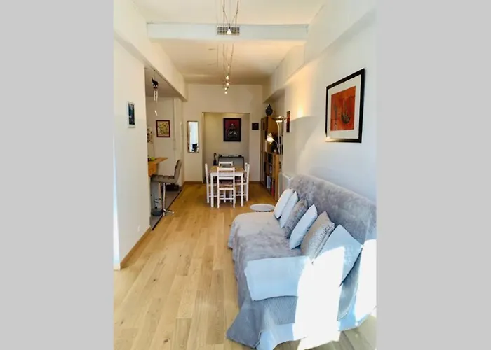 Le Petit Blanc - Vue Sur Le Square Des Lions Apartment *