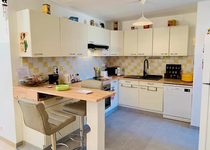 Le Petit Blanc - Vue Sur Le Square Des Lions *